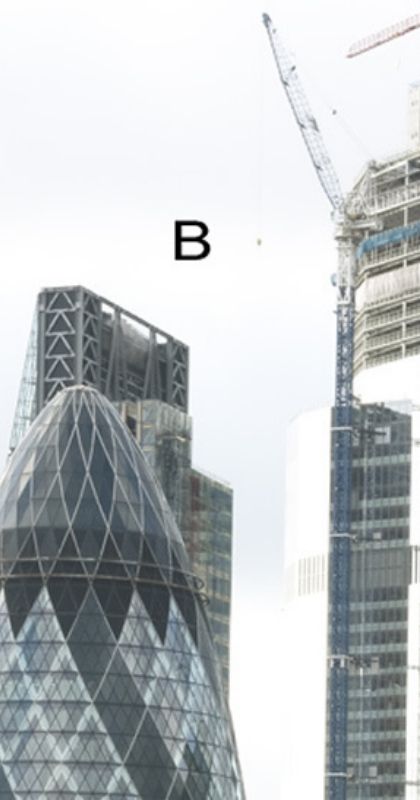 Camera-choice-b1
