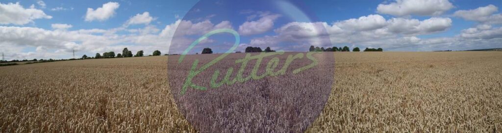 countryside-51