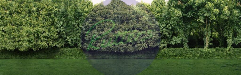 countryside-57