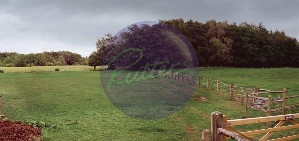 countryside-63