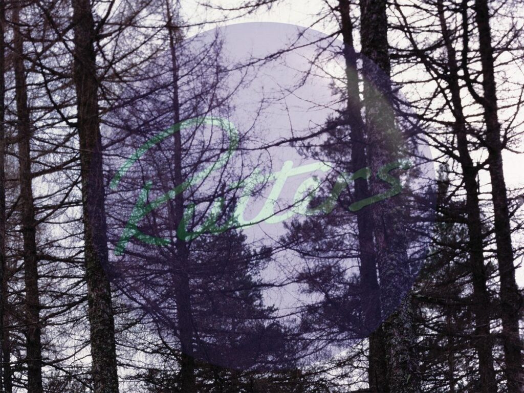 trees-05