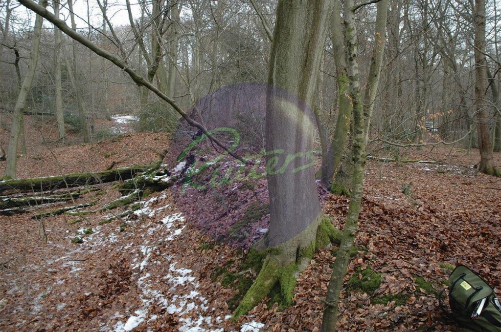 trees-15