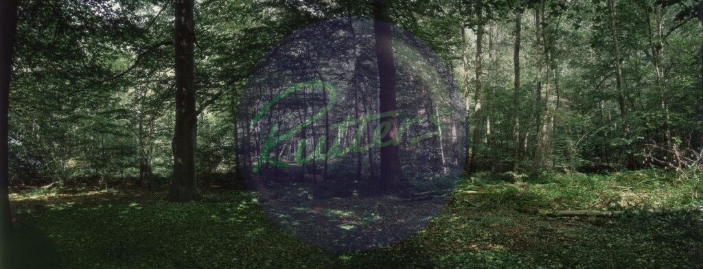 trees-18