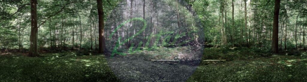 trees-23